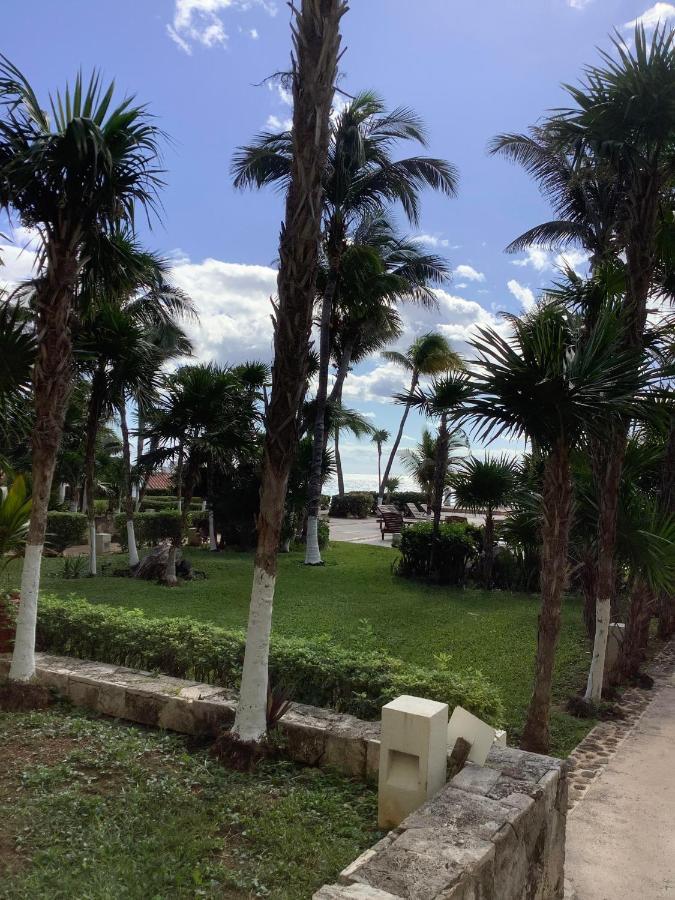 Beachaccess Hotelzone 3705 Cancún Exterior foto